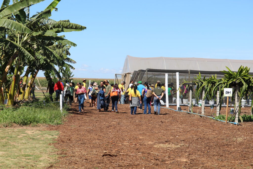 Emater-DF leva circuito de fruticultura diversificada à AgroBrasília 2026