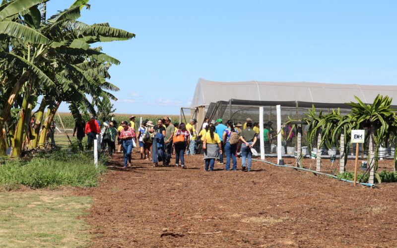 Emater-DF leva circuito de fruticultura diversificada à AgroBrasília 2026