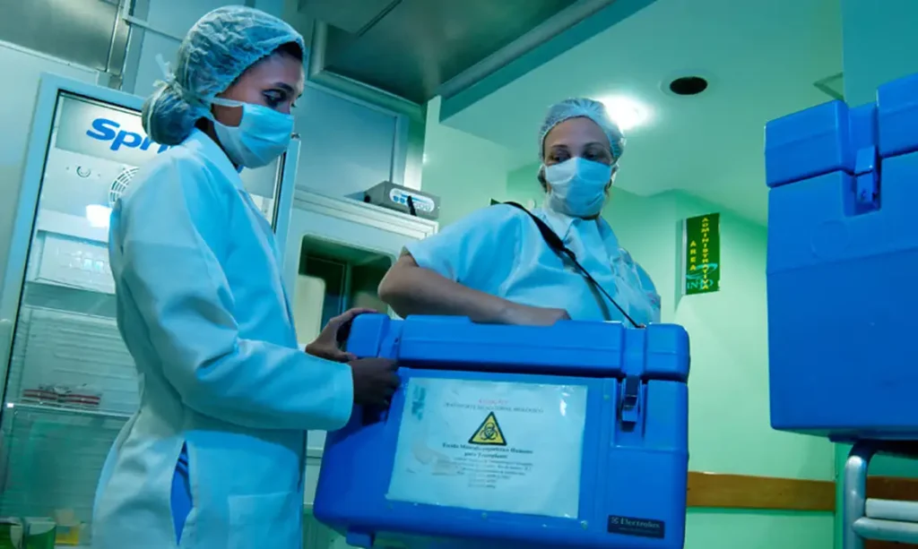 Recorde: transplantes no Brasil crescem 21% em 2025